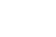 THE BRIDGE AUTO